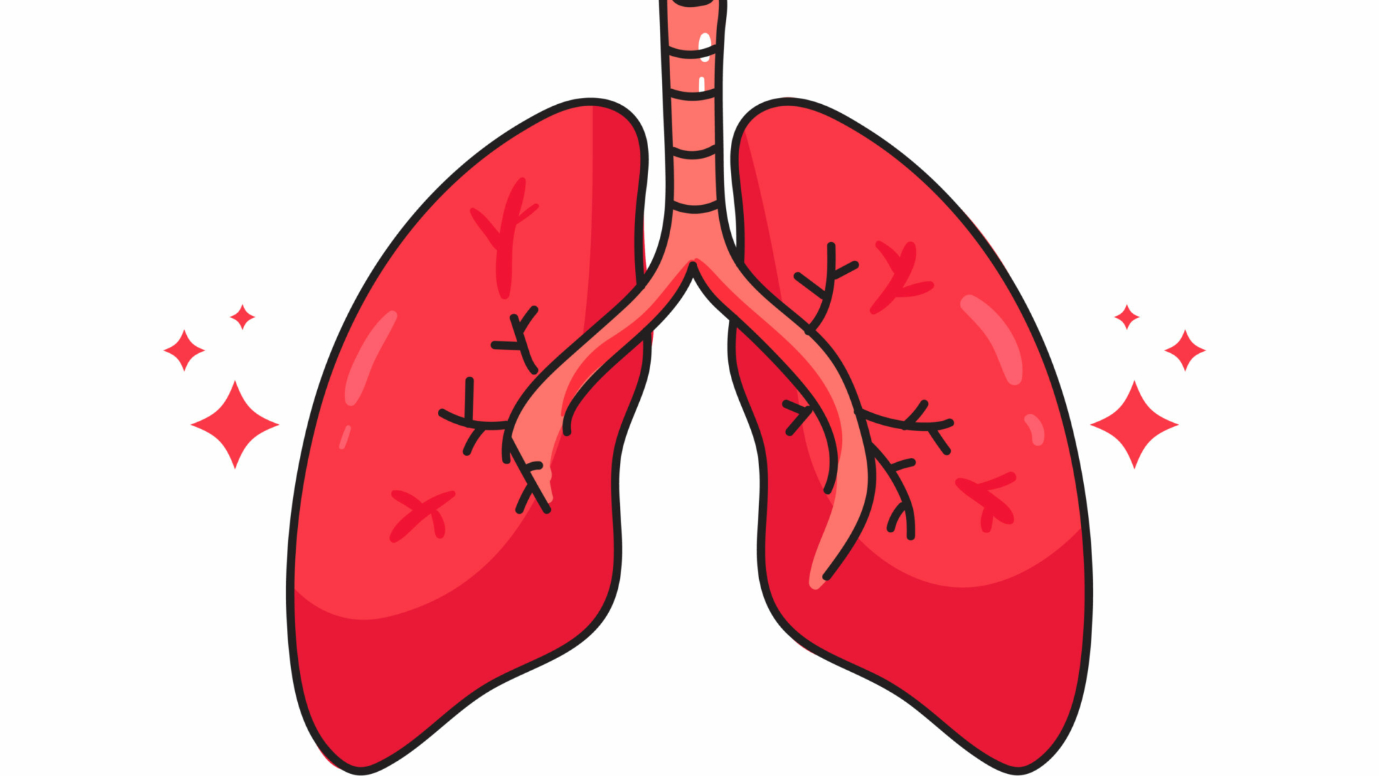 Lung_human_anatomy_biology_organ_body_system_health_care_and_medical_hand_drawn_cartoon_art_illustration
